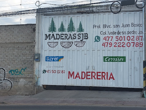 PINO GORDO SAN JUAN BOSCO