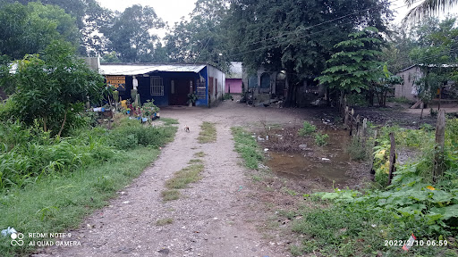 Carpintería y tapicería frias