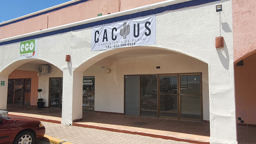 Cactus Carpintería de Playa